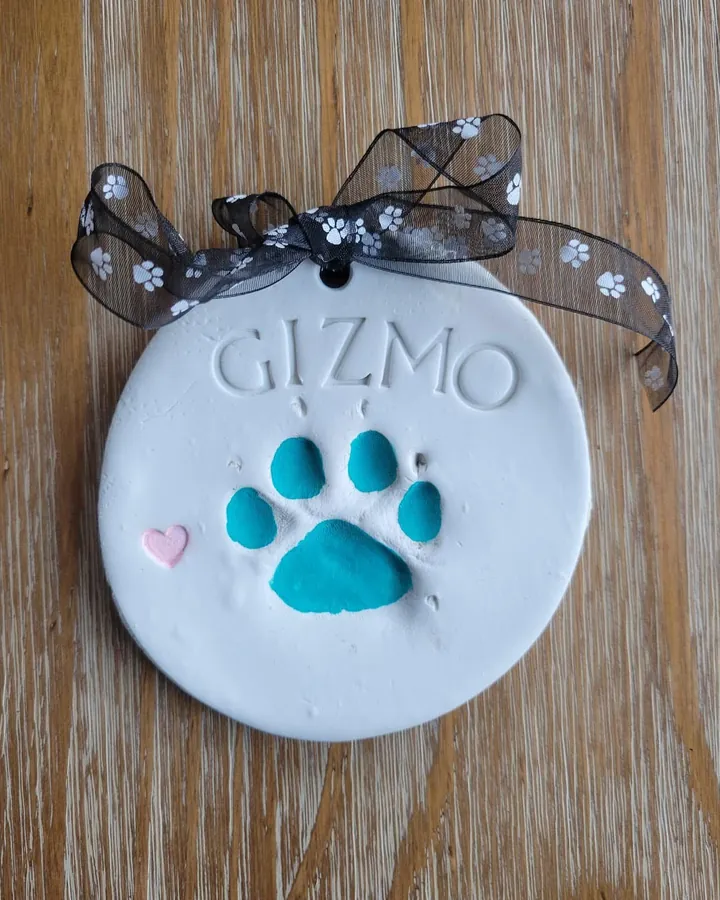 A round clay paw print with the paw painted teal, the name Gizmo and a small pink heart.