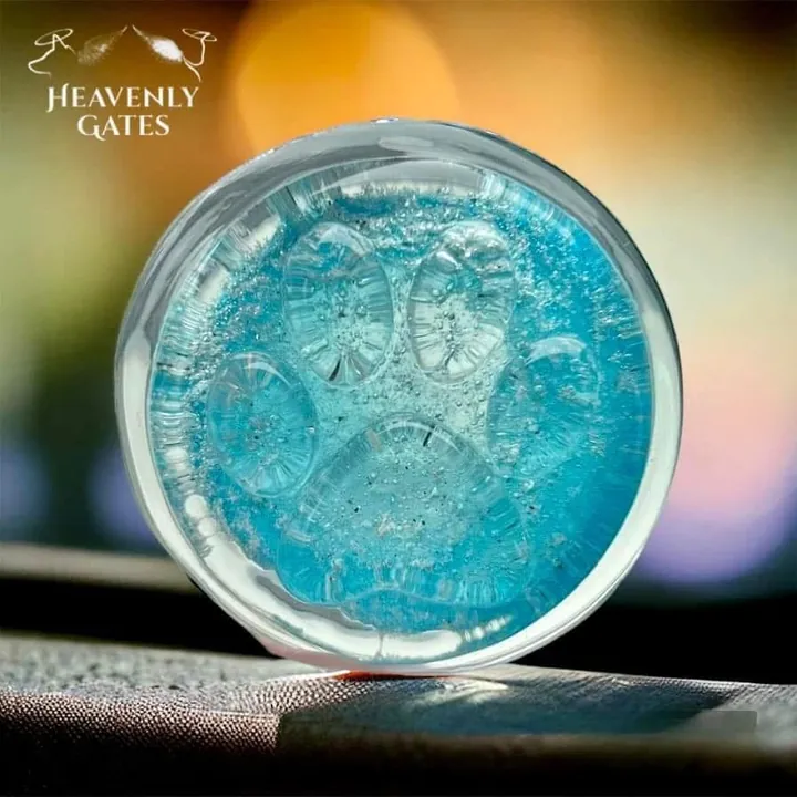 A round, clear glass touchstone with a teal paw print pressed into it.