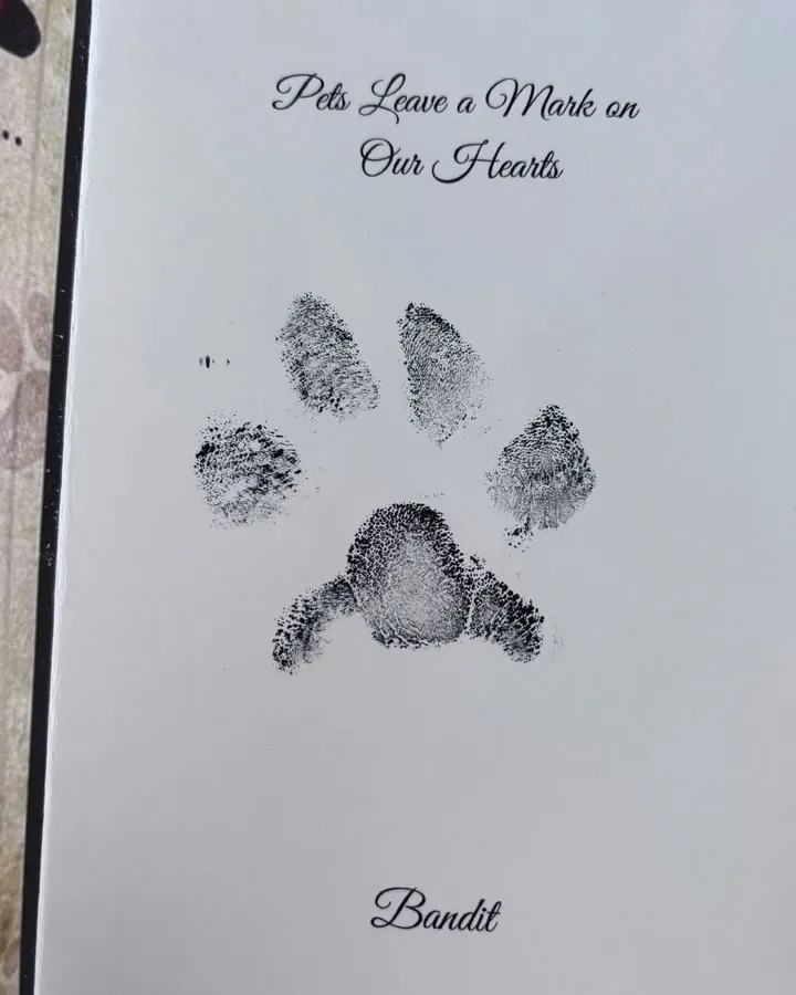 An ink paw print card titled Pets Leave a Mark on Our Hearts, with a paw print and the name Bandit.