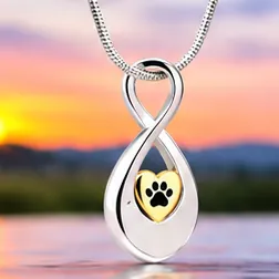 A silver infinity pendant holding a small gold heart with a paw print.