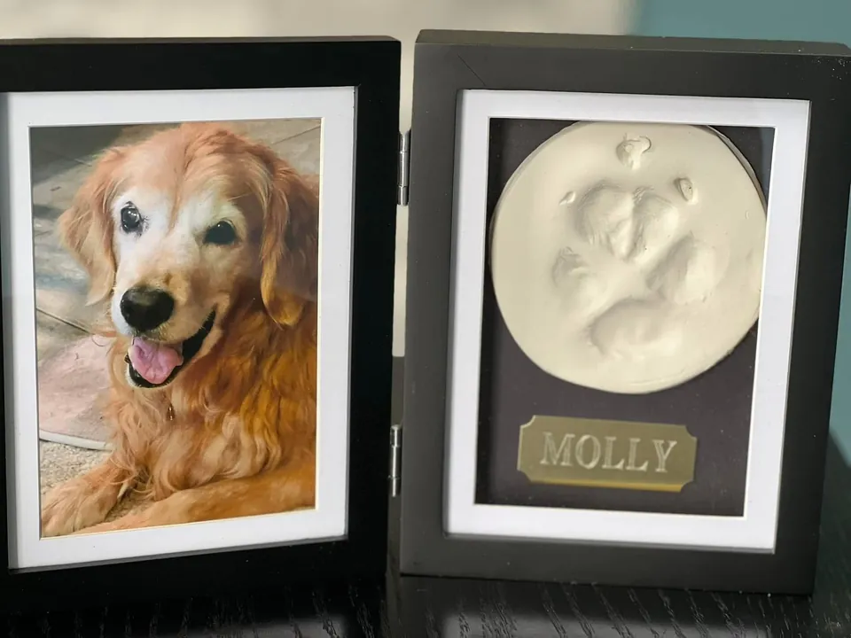 A black hinged double frame: a photo of a golden retriever on one side, a clay paw print above a name plate reading Molly on the other.
