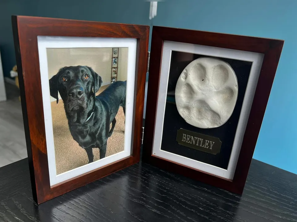 A brown wooden hinged double frame: a photo of a black Labrador on one side, a clay paw print above a name plate reading Bentley on the other.